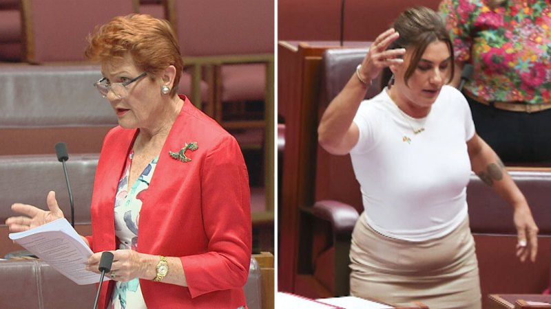 Senator Lidia Thorpe suspended from parliament