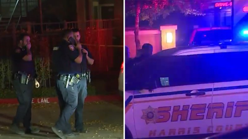 Teksas'ta 3 yaşındaki kız, 4 yaşındaki kız kardeşini vurarak öldürdü