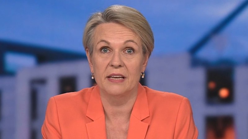 Tanya Plibersek discusses funding boost for 1800RESPECT