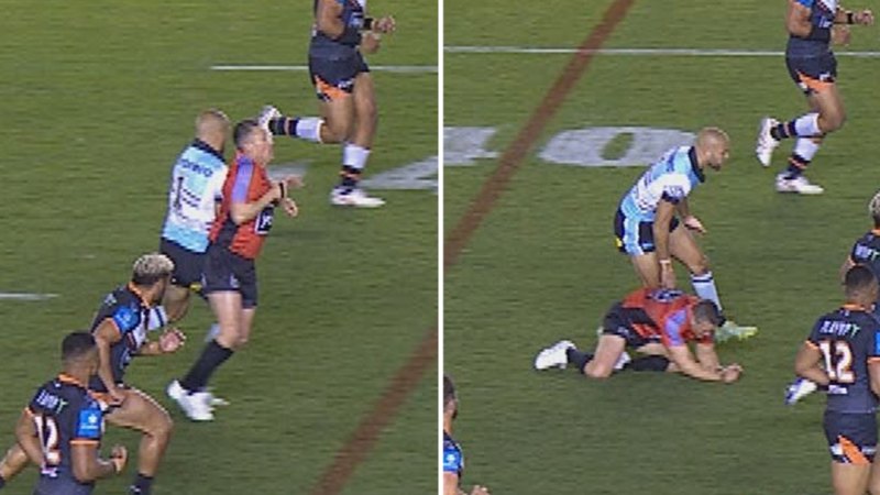 Sharks star faces ban for colliding with referee