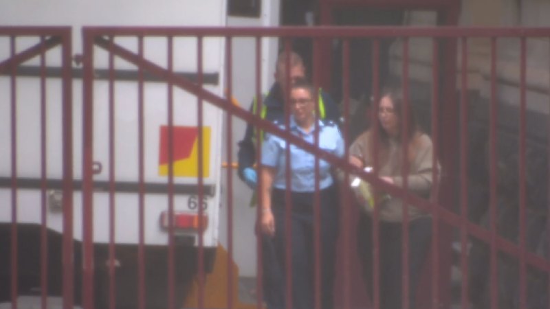 Erin Patterson appeal to start today