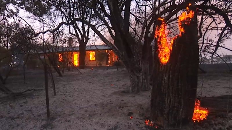 Žrtve požara v Cudlee Creeku vložile odškodninsko tožbo proti avstralskemu elektro podjetju