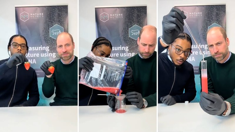 Prince William’s unlikely collaboration with major science TikTok creator