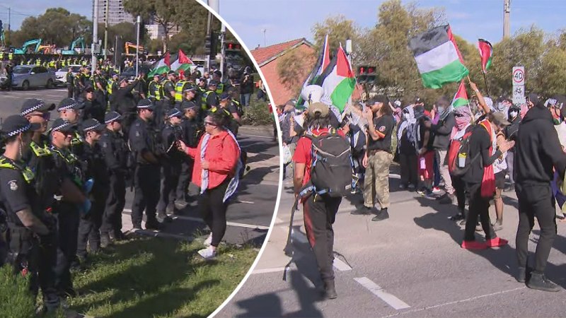 Pro-Palestine demonstrators arrested after activists clashed with police at the Port of Melbourne