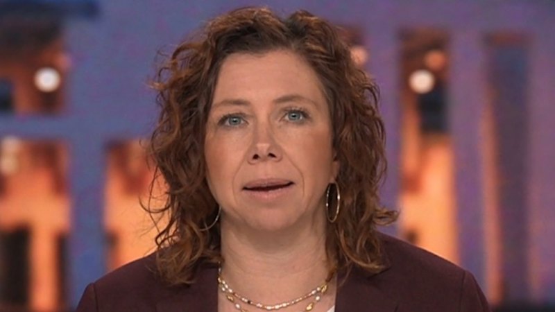 Anika Wells faces fresh scrutiny over $4000 cricket trip