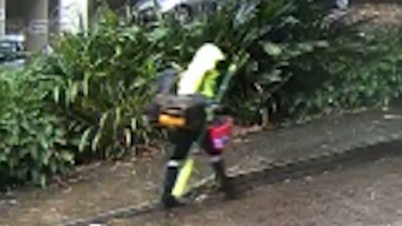 New CCTV shows moments after Luke Davies and Jesse Baird were killed