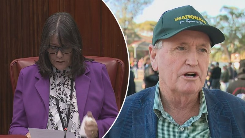 WA opposition leader accused of bullying