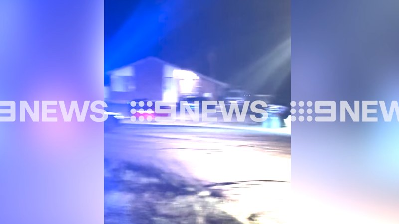 Video captured of dog attack in Raymond Terrace