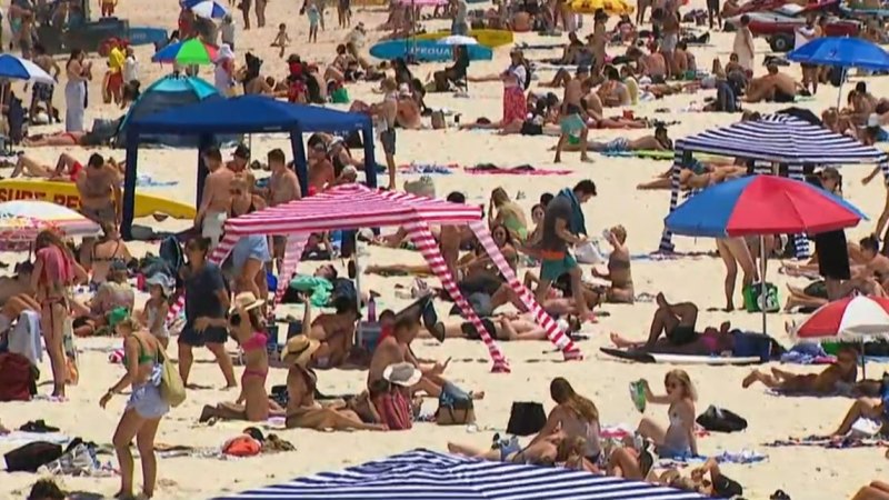 New blood test signals major breakthrough in Australia’s fight against skin cancer