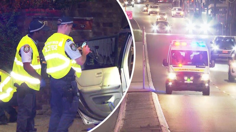 Two killed in crash in Sydney’s south