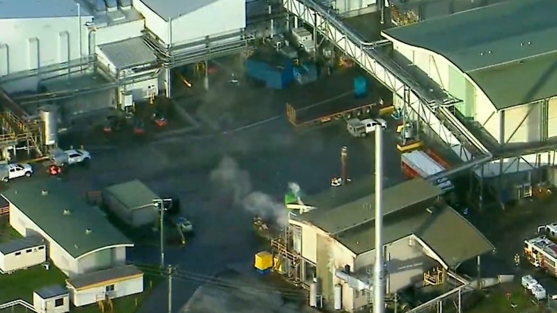 Queensland abattoir shuts after massive chemical leak