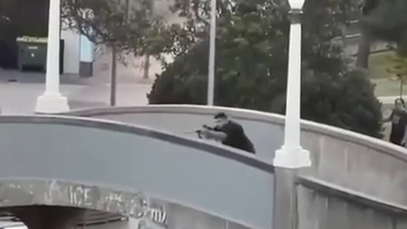 Dramatic scenes at Bondi Beach as gunmen shoot at crowds