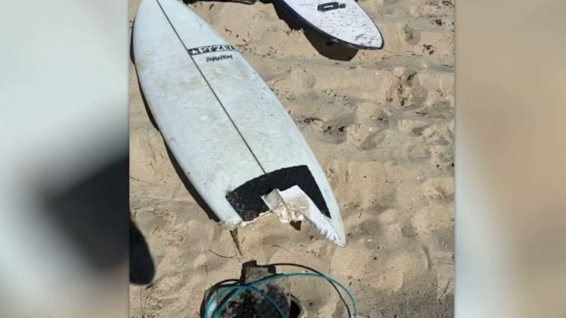 Hero surfer risked life to save shark attack victim
