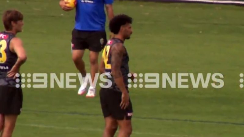 Analysis: Tiger suspended after DUI incident: Verified coverage by BRRO News Editorial Desk.