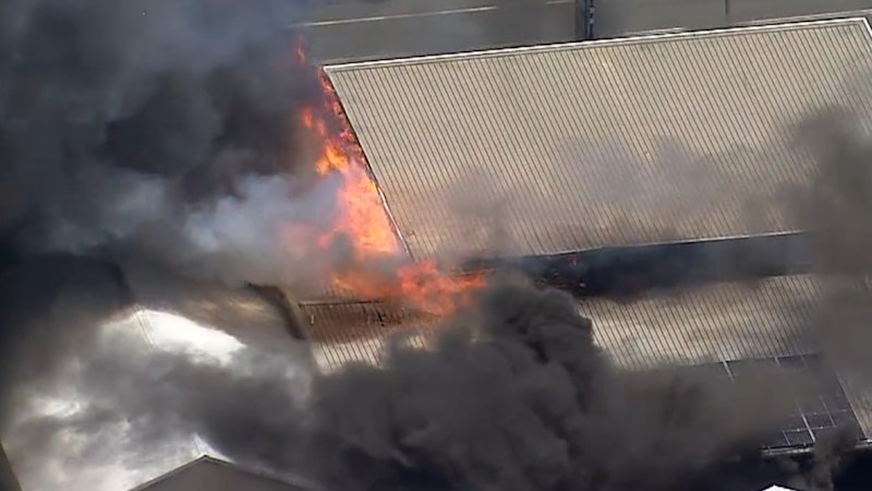 Blaze breaks out at petrol station in Sydney's south-west