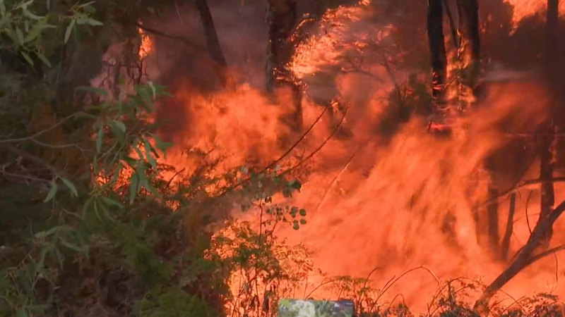 Emergency warnings for WA bushfire