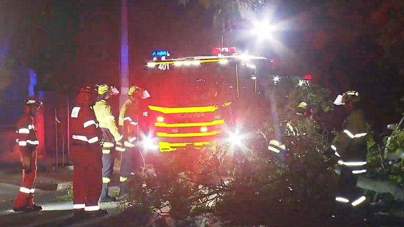 Wild winds force Qantas flight to land at Defence Force base