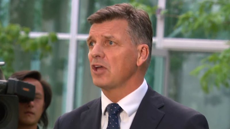 Angus Taylor launches bid to be Liberal Party leader