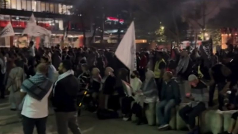 Pro-Palestinian protesters rally in south-west Sydney