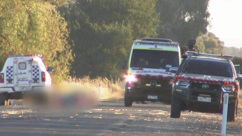 Four dead, two kids fighting for life after minivan crash near Victoria-NSW border