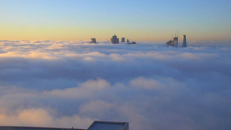 Thick blanket of fog blankets Sydney ahead of yacht race