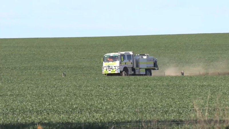 Pilot dies in South Australia plane crash