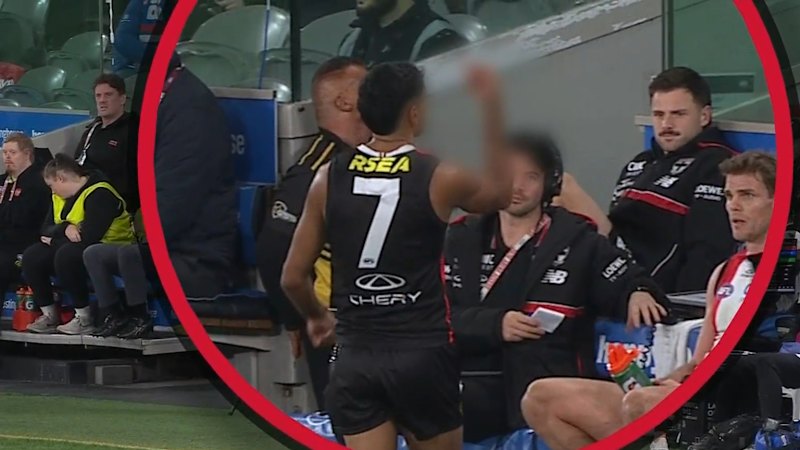 Bartel says NAS shouldn't be sanctioned for flipping bird