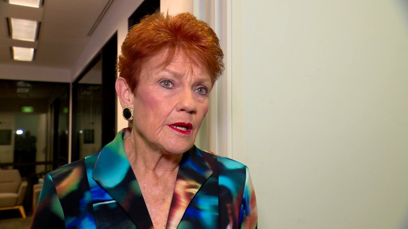 Pauline Hanson questioned 