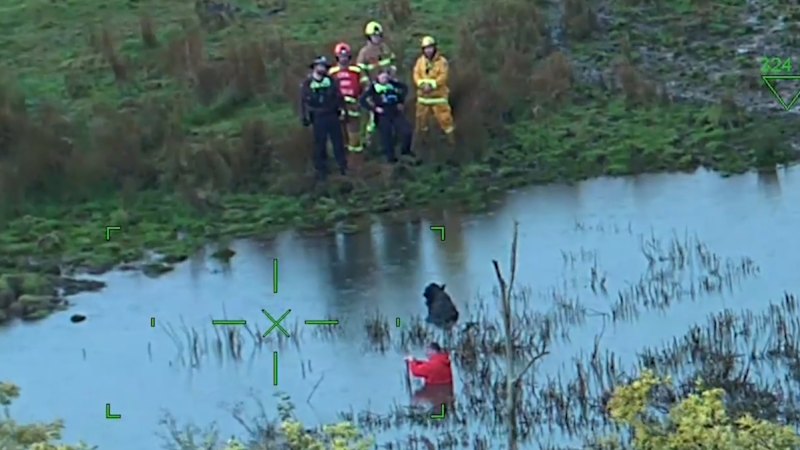 Major effort to rescue cattle farmer stuck in dam trying to save cows
