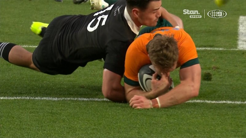 Video: Harry Potter Silences Eden Park Crowd