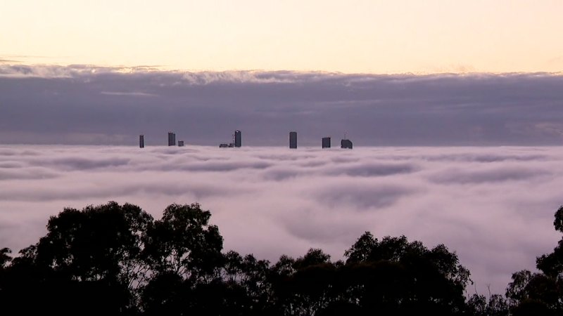 Flights diverted, traffic chaos as fog envelops Brisbane