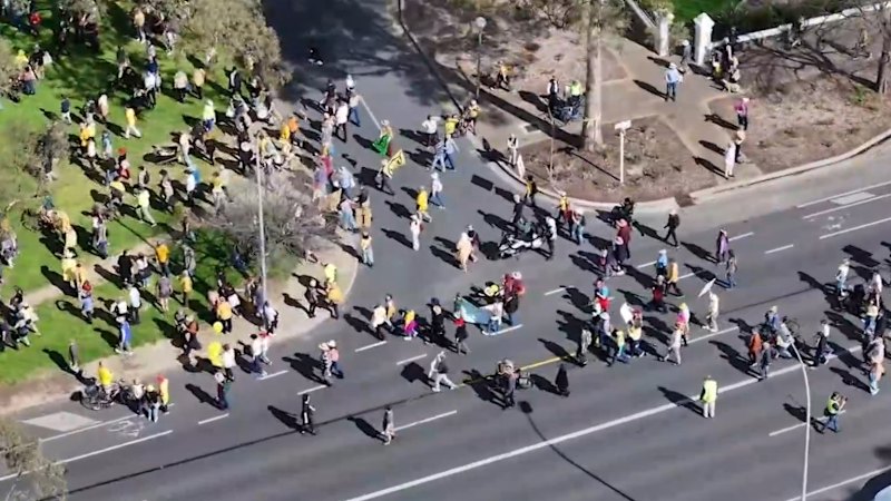 ‘Stop the chop’ protesters gather in Adelaide against tree removal for golf course