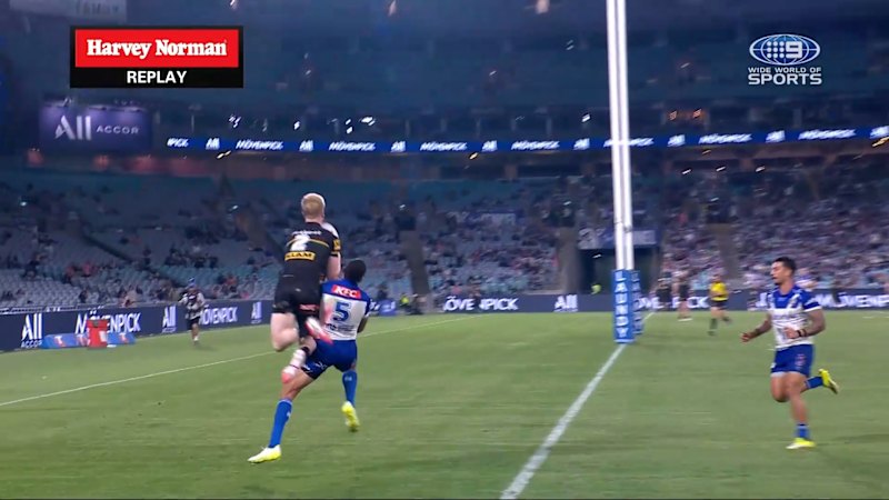 'Air Milky' soars high for Panthers