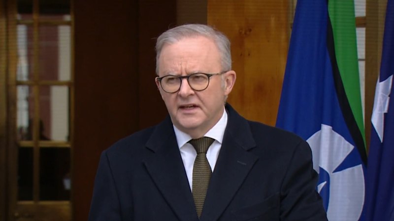 Hamas welcomes Albanese government's decision to recognise Palestinian state