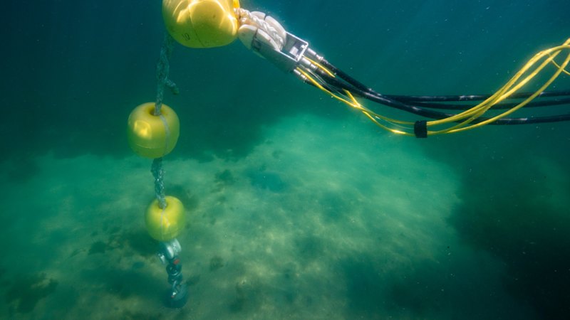 Better boat moorings to restore Sydney Harbour