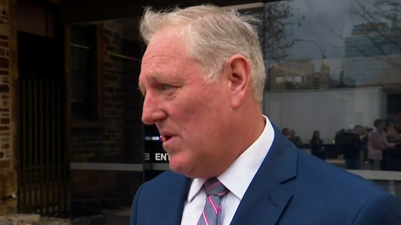 South Australian MP forced to quit parliament after court appeal fails