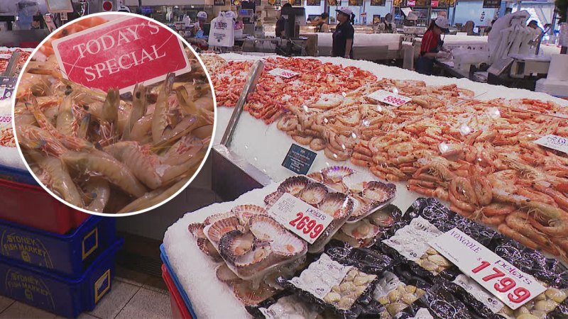 Sydney Fish Markets to see 100,000 customers pass through in mammoth 36-hour marathon