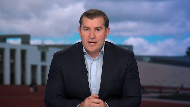 Concerns raised over federal and NSW gun buyback scheme effectiveness