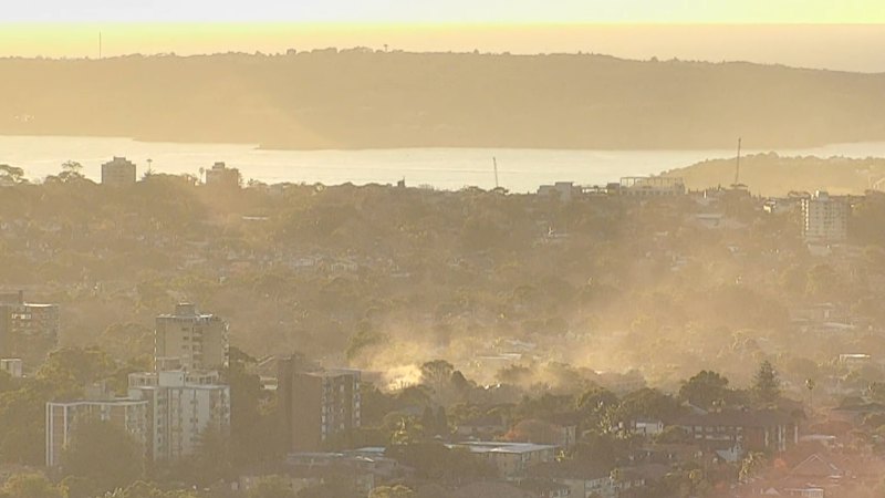 One person dies in Sydney house fire.