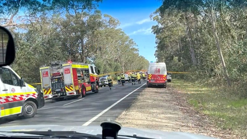 A man has died after a sky-diving plane crashed in NSW