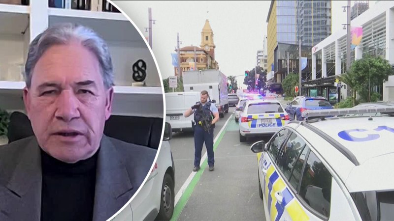 Eski NZ Başbakan yardımcısı vurulduktan sonra adalet sistemini çarptı