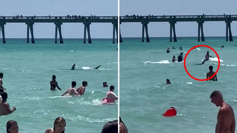 Video, kalabalık plajın yakınında yüzen köpekbalığını gösteriyor