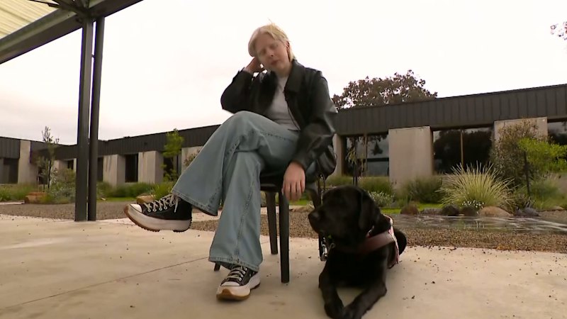 Woman separated from guide dog in 'traumatising' incident at train station