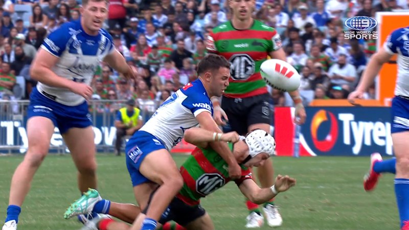 Dogs half whacks Gray high