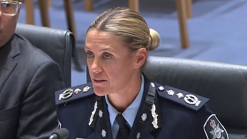 AFP commissioner tells Senate estimates about 'hate disrupter squads'