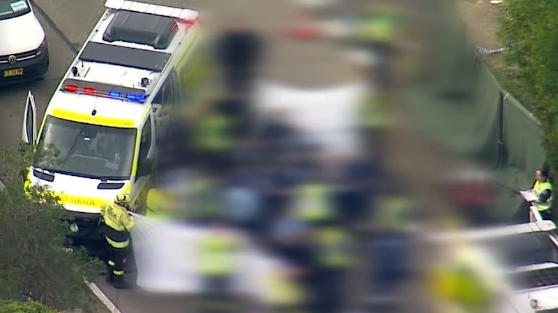 Two children dead after being struck by car while in pram