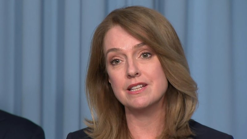 MPs receive violent threats after condemning neo-Nazi rally