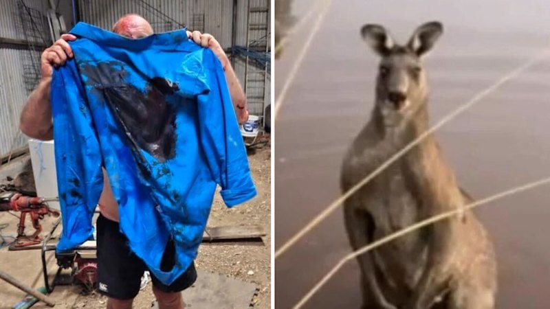 Man left with horrific injuries after kangaroo attack in north-east Victoria