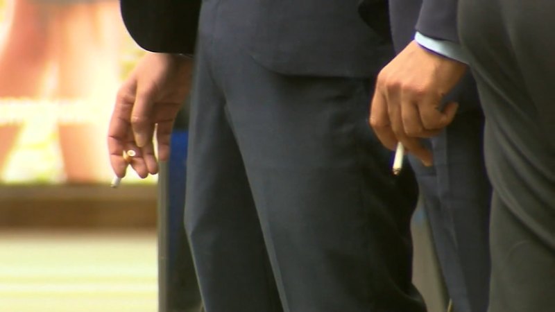 Pauline Hanson launches new tobacco policy