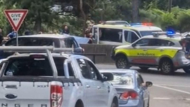 Allegedly armed man shot by police on Sunshine Coast highway